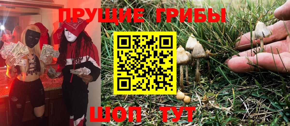 Орехово-Зуево  Псилоцибиновые грибы Psilocybe  Вход с VPN 